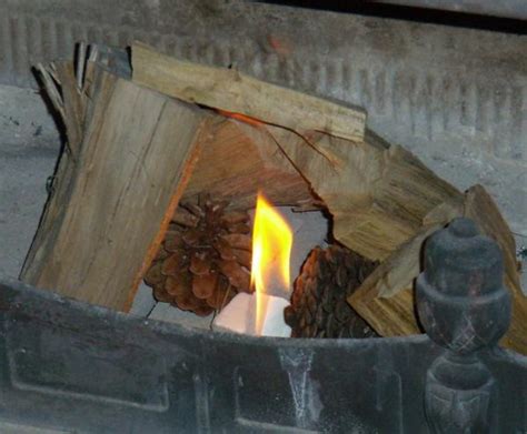 recoger piñas para chimenea|Recogemos PIÑAS secas para encender la CHIMENEA en un。